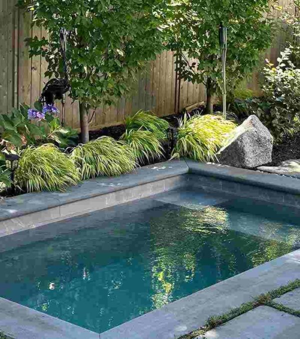 plung-pool-min